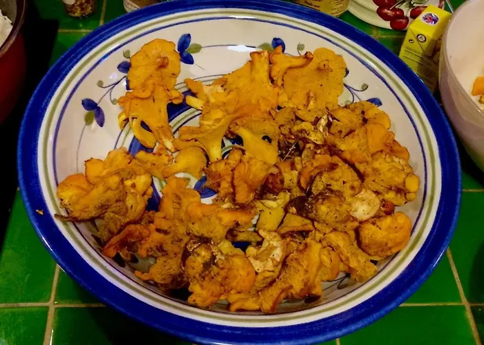 La Coutinelle Semesterbostad Le Salson